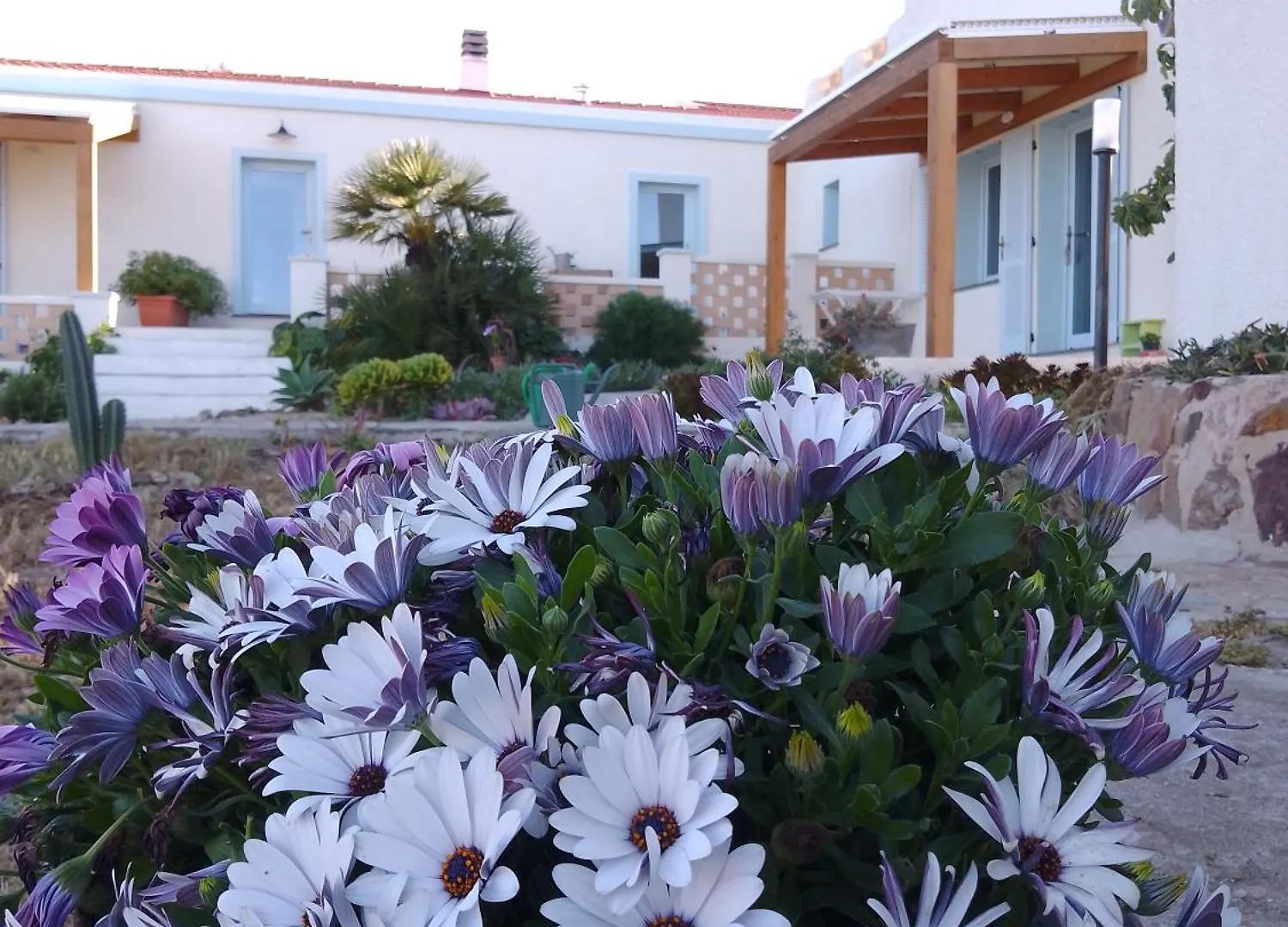 Lispusada Agriturismo Adults Only Biancareddu
