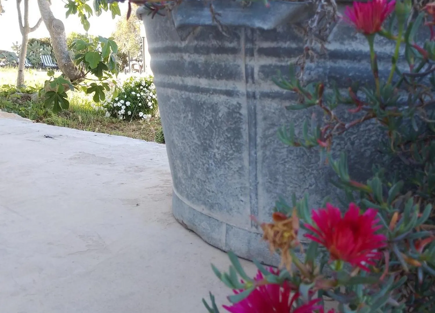 Bed & Breakfast Lispusada Agriturismo Adults Only Biancareddu