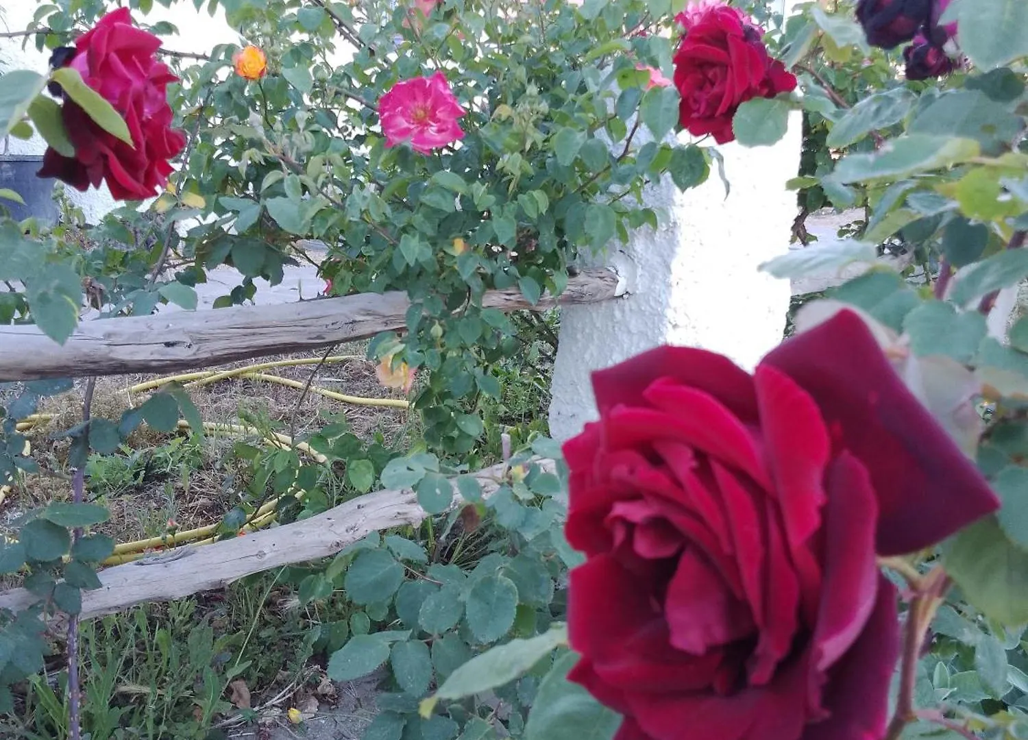 Lispusada Agriturismo Adults Only Biancareddu Bed & Breakfast