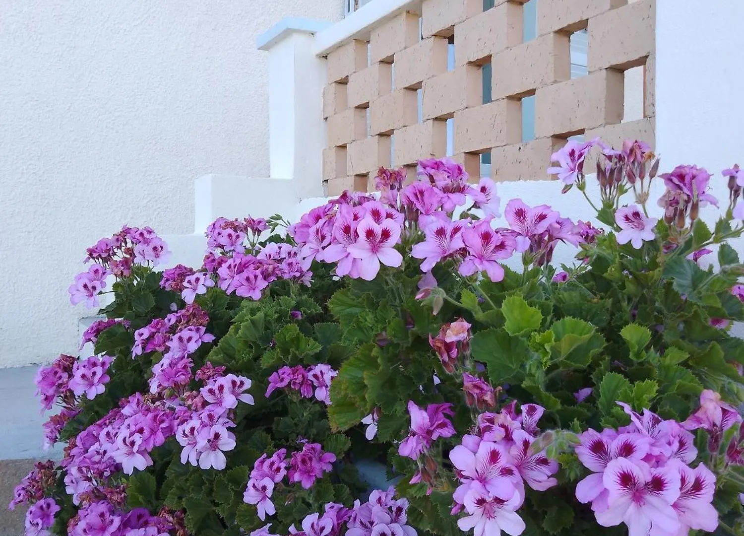 Bed & Breakfast Lispusada Agriturismo Adults Only Biancareddu