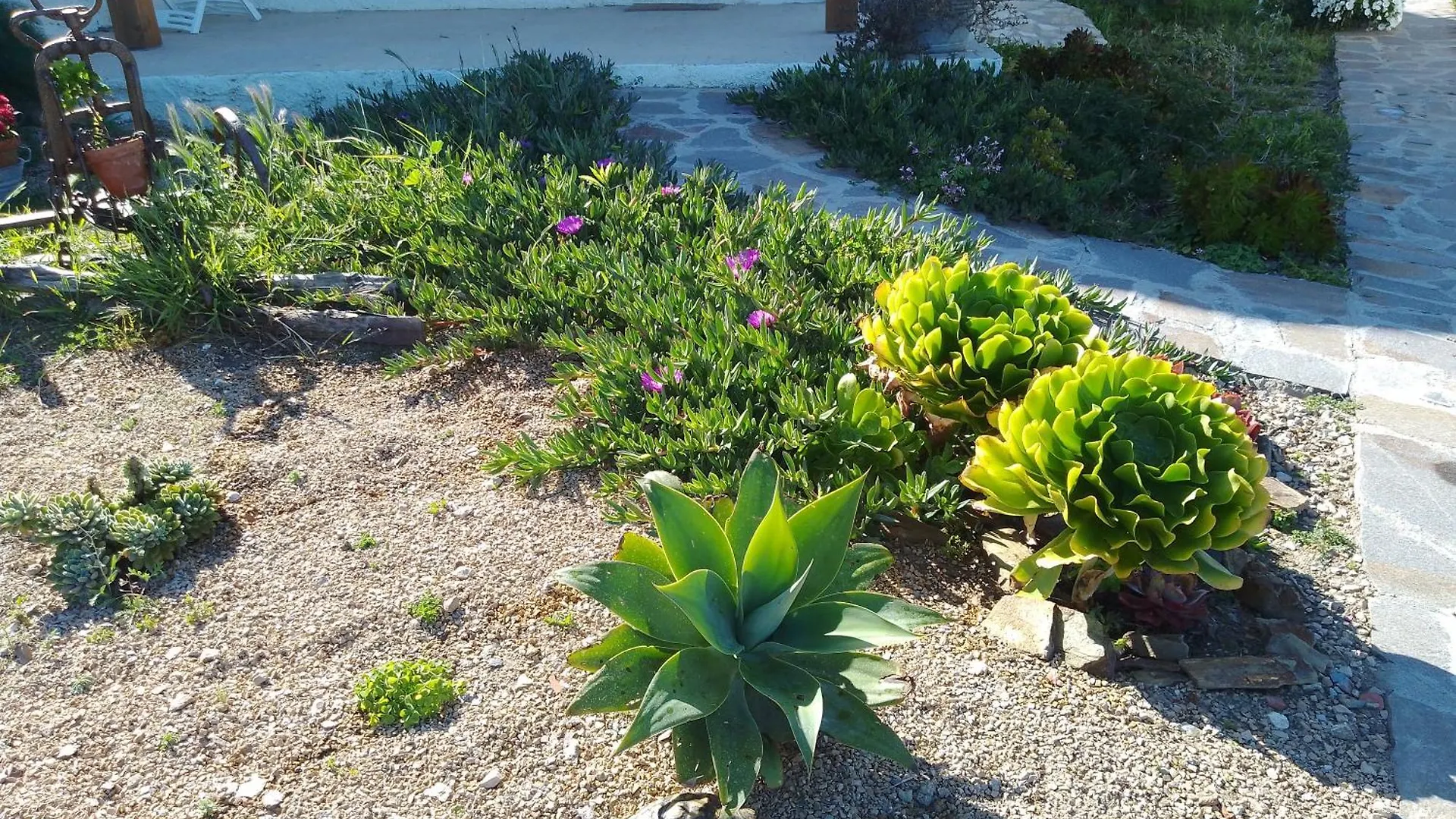 Lispusada B&B Biancareddu Italia