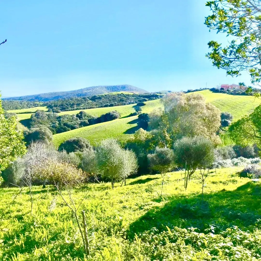Lispusada Agriturismo Adults Only Biancareddu 0*,  Italy