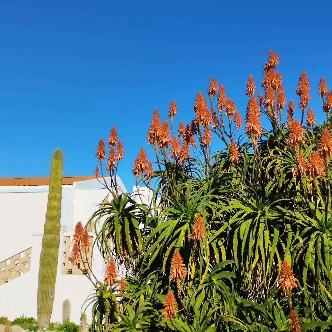 Lispusada Agriturismo Adults Only Biancareddu Bed & Breakfast